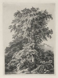 Természet után rajzolt és vésett tanulmányok: The Beach, Fontainbleau..., 1840. alkotó: Eugene Bléry
