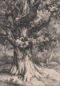 Nagy Károly, tölgyfa sasfészekkel, 1845. alkotó: Eugene Bléry