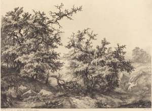 Tövisbokrok, 1840.