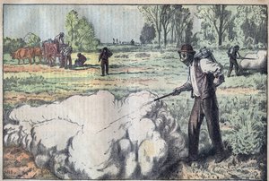 A mulók (Apodemus) elpusztítása a fullasztó gáz által a hajnalban - Damblans metszet - le-pelerin 1923-ból alkotó: Eugene Damblans
