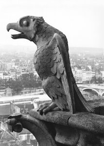 Vízköpő a Grande Galerie nyugati homlokzatának korlátjáról, egy 12. századi eredeti másolata (kő) (f/w fotó) alkotó: Eugene Emmanuel Viollet le Duc