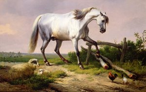 Szürke mén juhokkal és baromfival alkotó: Eugene Joseph Verboeckhoven