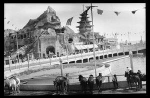 Kilátás a Coney Islandre, 1909 (nitrát negatív)