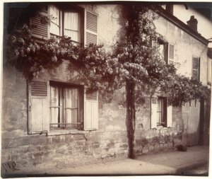 Glicin (Wisteria), Ch?tillon alkotó: Eugène Atget