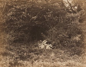 Egy szikla az erdőben c. 1865. alkotó: Eugène Cuvelier