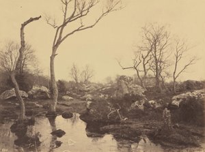 Belle Croix, 1858 körül (fénykép) alkotó: Eugène Cuvelier