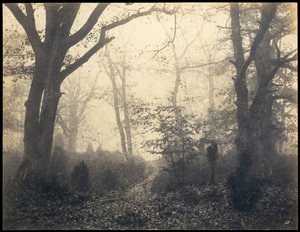 Fontainebleau. Erdő Barbizonban, 1860 körül.