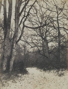 [Fontainebleau-erdő], kb. 1860. alkotó: Eugène Cuvelier