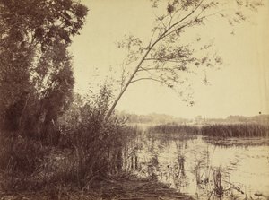 Marais de Fampoux, 1860-as évek eleje.