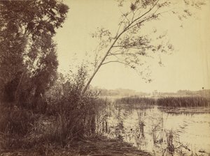 Marais de Fampoux,1860-as évek eleje (fotó) alkotó: Eugène Cuvelier