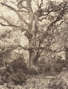 A Bodmer közelében, 1860-as évek.