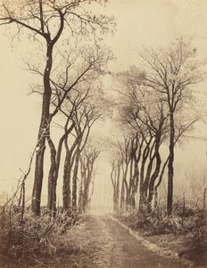 Út és fák dérrel, 1860.