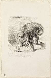 Álló Oroszlán alkotó: Eugène Delacroix