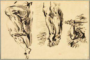 Tanulmány a Megfeszített Krisztus karjairól és lábairól alkotó: Eugène Delacroix