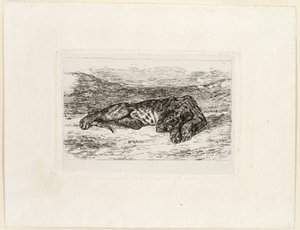 Tigris pihen a sivatagban alkotó: Eugène Delacroix