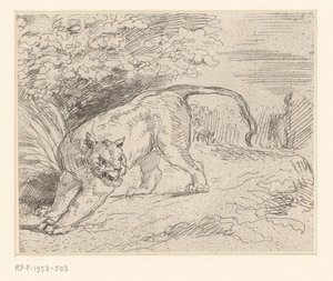 Tijger Tigris megáll alkotó: Eugène Delacroix