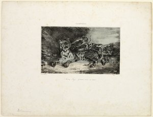Fiatal Tigris játszik az anyjával alkotó: Eugène Delacroix