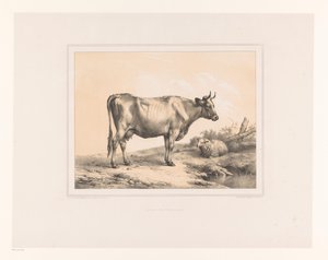 Tehén és birka a tájon Különféle állatok (sorozat címe) Etudes d