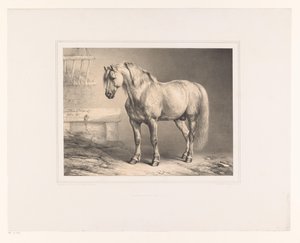 Ló egy istállóban Különféle állatok (sorozat címe) Etudes d