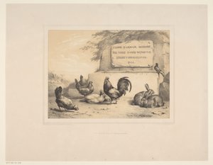 Címnyomat csirkékkel, nyulakkal és galambbal Különféle állatok (sorozat címe) Etudes d