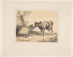 Két tehén Különféle állatok (sorozat címe) Etudes d
