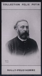 Armand Sully Prudhomme (1839) (f/w fotó) alkotó: European Photographer