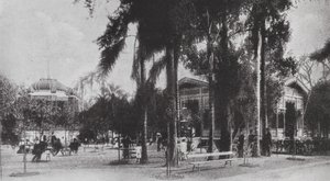 Brazília: San Paolo, Jardim da Luz (fekete-fehér fotó) alkotó: European Photographer