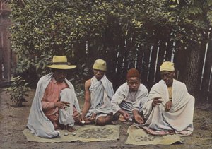 Hovas váltók alkotó: European Photographer