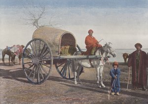 Menetelő bokhar szekér alkotó: European Photographer