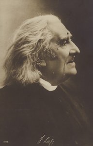 Portrait of Franz Liszt alkotó: European Photographer