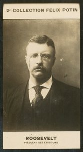 Theodore Roosevelt, az Egyesült Államok elnöke alkotó: European Photographer