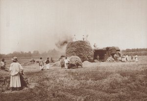 Búzacséplés az Alföldön, Magyarország síkságain (f/w fotó) alkotó: European Photographer