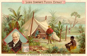 Alexander von Humboldt expedíciója Dél-Amerikába, 1800-1804 alkotó: European School