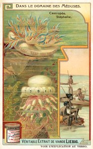Cassiopeia és Stephalia (chromolitho) alkotó: European School