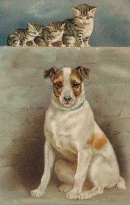 Macskák figyelnek egy kutyát (színes litográfia) alkotó: European School