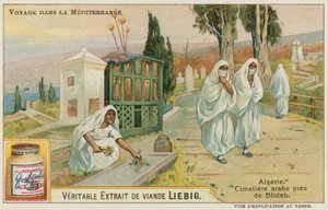Temető közel Blidához Algériában alkotó: European School