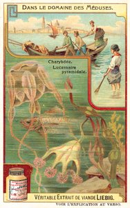 Charybdis és piramis lucernia (chromolitho) alkotó: European School