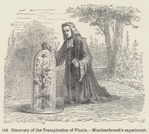 A növények transzspirációjának felfedezése, Muschenbroeck kísérlete (metszet) alkotó: European School