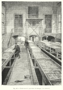 Huningue halgazdaság, belső nézet. (metszés) alkotó: European School