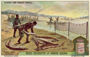 Tokhal horgászata (chromolitho) alkotó: European School