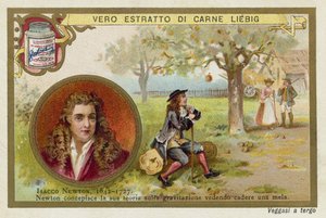 Isaac Newton angol fizikus és matematikus alkotó: European School
