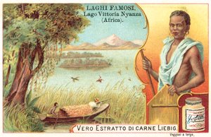 Victoria-tó, Afrika (chromolitho) alkotó: European School