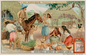 Mexikói farmerek és cowboyok alkotó: European School