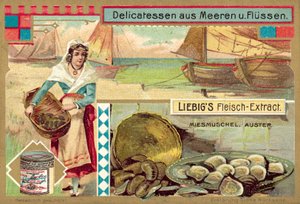 Kagyló és osztriga (chromolitho) alkotó: European School