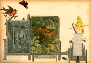 Oldal a Sammelsurium I. kötetéből (nyomtatott anyag) alkotó: European School
