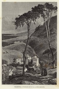 Palesztina, Vertientes del Lilano és maronita falu alkotó: European School