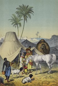 Észak-Afrika és Arábia emberei, állatai és növényei (színes litho) alkotó: European School