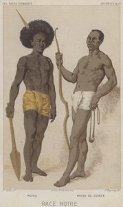 Fekete faj, pápua, fekete guineai (chromolitho) alkotó: European School