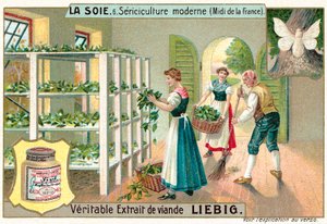 Selyemgyártás Dél-Franciaországban (chromolitho)