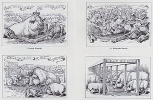 1895-ös szocialista karikatúra a különböző kormányformákról (litho) alkotó: European School